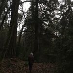 Chad Jenkins - @chad_jenkin.s - Instagram