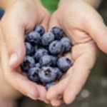 Chad Keene - @lovegrowing.life - Instagram