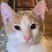 J Chad Kelley - Facebook
