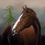 Chad Keiser - @1bad.horse - Instagram