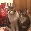 chadkeiser931 - @chadkeiser931 - TikTok