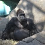 Chad James Kunkel - @chad_kunkel - Instagram