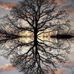 Chad Kunkel - Facebook