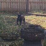 Chad Larson - @chad.larson.3388 - Instagram