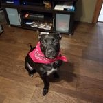 Chad Larson - @chad_lee75 - Instagram