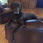 Chad Lenz - @chadlenz29 - Instagram