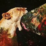 Chad Leo - @leoghost974 - Instagram