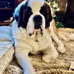 Chad Linderman - @lindermanchad - Instagram