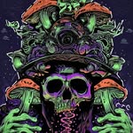 Chad mann - @chadmann666 - Instagram