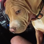 Chad Martindale - @jdubdad315 - Instagram
