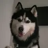 chadmccanney - @chadmccanney - TikTok