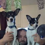 Chad Mcclure - @chadmcclure - Instagram