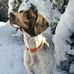 Chad McClure - Facebook