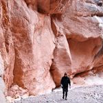 Chad McCormack - @chadmccormack - Instagram