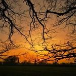Chad McGhee - @mcghee5813 - Instagram