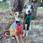 Piccolo & Chad McLeod - @the.naughty.noodles - Instagram