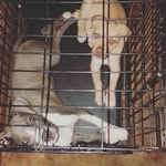 Chad mcmath - @cmcmath - Instagram