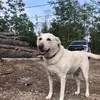 Chad McMichael772 - @chadmcmichael22 - TikTok