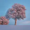 𝑺𝒏𝒐𝒘 🌈 - @chadmcneilfd - TikTok