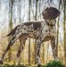 Chaz McNulty - Facebook