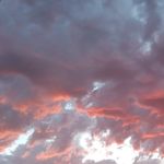 Chad Meier - @chadm8098 - Instagram