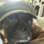 Chad Monteith - @cmm1559 - Instagram