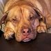 Chad Montieth - Facebook