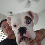 Chad Mora - @chadmora71 - Instagram