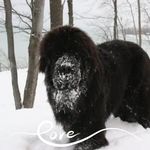 Chad Munger - @chadmunger - Instagram
