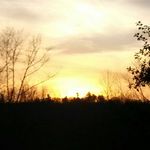 Chad Neuburger - @chadneuburger - Instagram