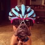 Chad Nobles - @ce_nobles - Instagram