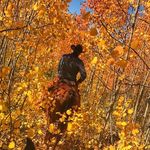 Chad Odell - @chadodell_jvj - Instagram