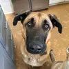 Chad_Otto - @otto_chad - TikTok