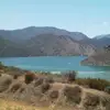 Chad Owens - @chad.owens0 - TikTok