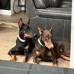 Chad Paulson - @paulson.chad - Instagram
