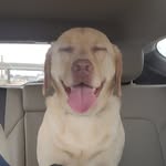 Chad M Pearson - @chad.pearson1049 - Instagram