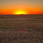 Chad Pederson - @roastmasterjesus - Instagram