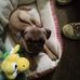 Chad Perkins - Facebook