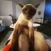 Chad Perkins - Facebook