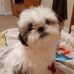 Chad Phipps - Facebook