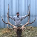 Chad Phipps - @mtelkslayer - Instagram