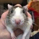 Chad - @chadpowers_ceo - Instagram