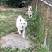 Chad Pugh - Facebook