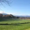 Chad Pullin - @chappy24421 - TikTok