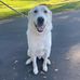 Chad Pulver - Facebook