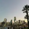 johbizz - @reaganchadeya - TikTok