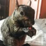Chad Shepard - @blueblood307 - Instagram