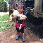 Chad Silva-costabrum - @silvacostabrum - Instagram