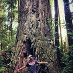 Chad Silver - @chadsilver - Instagram