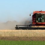 Chad Sims - @chadsims.farmer - Instagram
